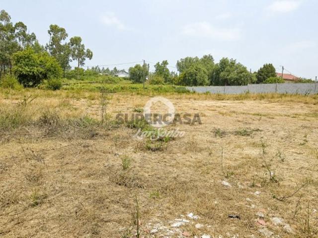 Terreno em Cervães