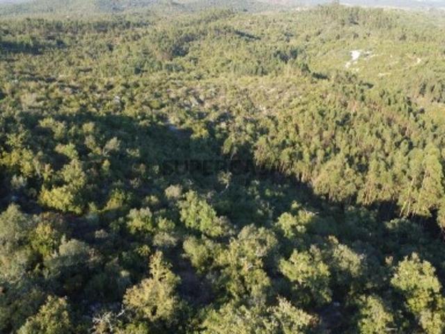 Terreno em Chãos de 14600,00 m²