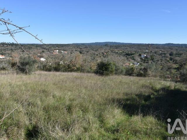Terreno em Chãos de 9160,00 m²