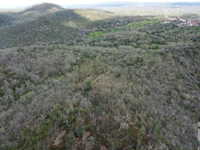Terreno em Chãos