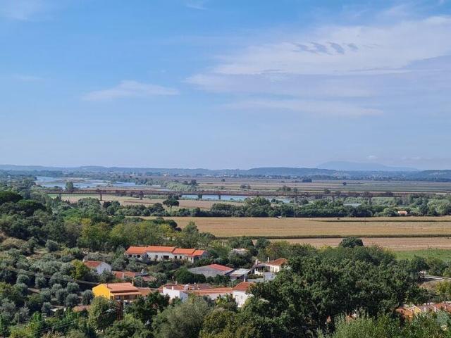Terreno em Chamusca e Pinheiro Grande de 712,00 m²