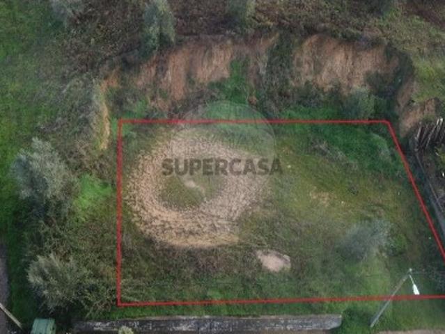 Terreno em Chamusca e Pinheiro Grande
