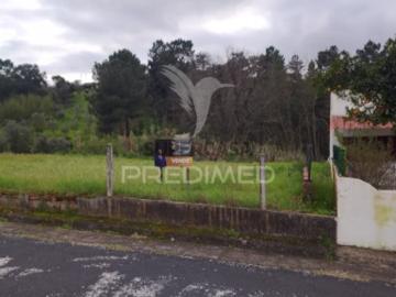 Terreno em Chamusca e Pinheiro Grande