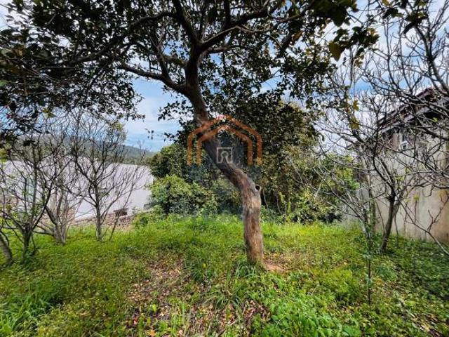 Terreno em Chácara Malota Jundiaí, SP