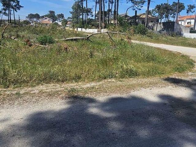 Terreno em Charneca de Caparica e Sobreda
