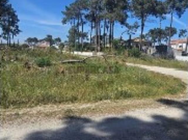 Terreno em Charneca de Caparica e Sobreda
