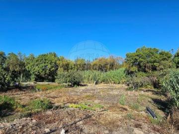 Terreno em Ciborro