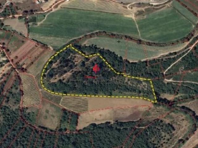 Terreno em Cidade de Santarém