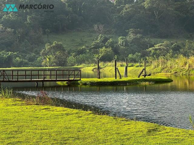 Terreno em Cidade Rotary, Nova Veneza/GO de 1000m² à venda por R$ 99.600,00