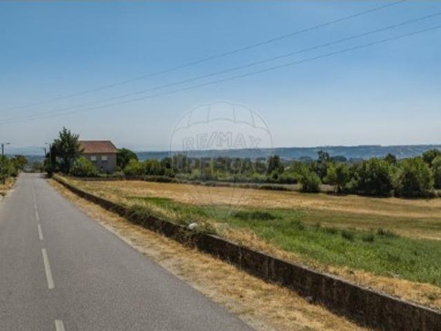 Terreno em Cimo de Vila de Castanheira