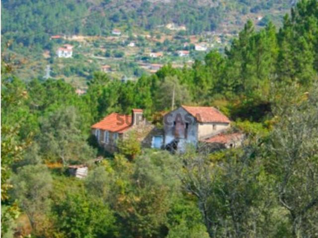 Terreno em Cinfães