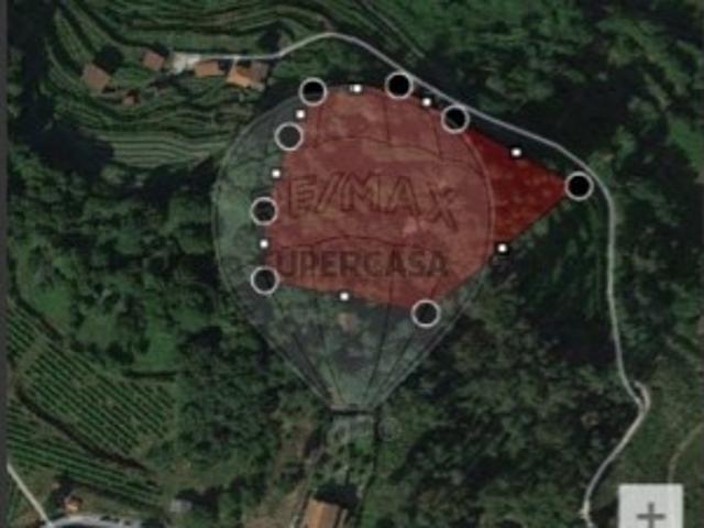 Terreno em Cinfães
