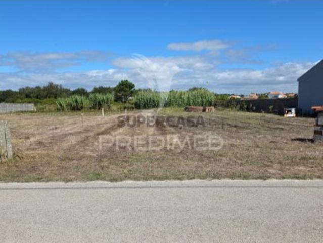 Terreno em Coimbrão