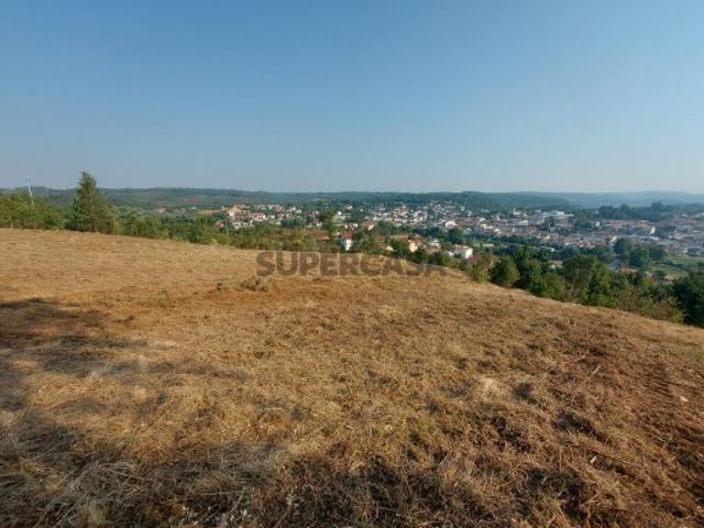 Terreno para construção em Côja