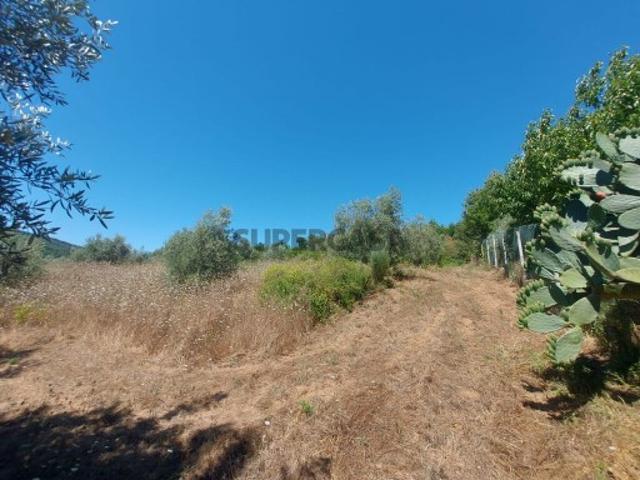 Terreno em Côja e Barril de Alva