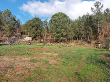 Terreno em Côja para construção