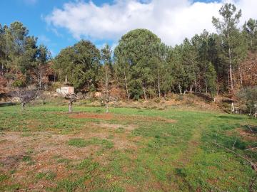 Terreno em Côja para construção