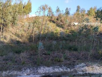 Terreno em Colmeias e Memória