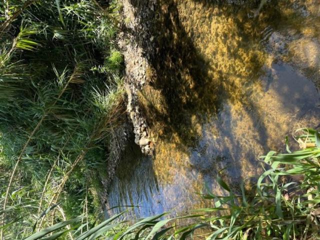 Terreno em Colares