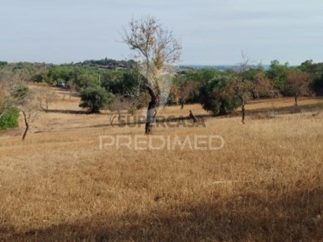 Terreno em Estoi
