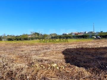 Terreno em Conceição