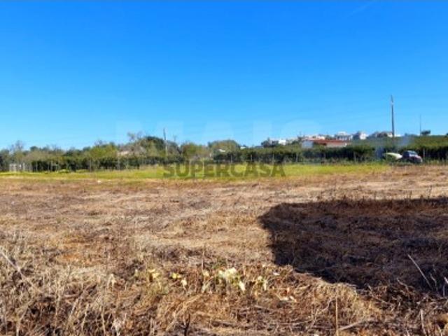 Terreno em Conceição