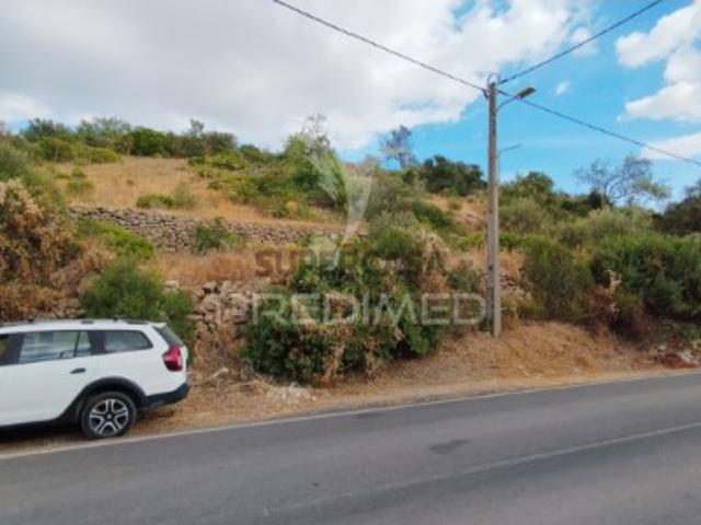 Terreno em Estoi