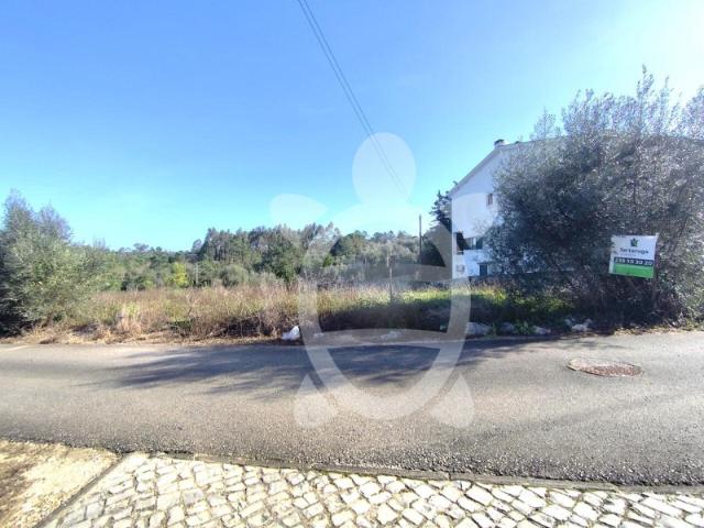 Terreno em Condeixa a Nova