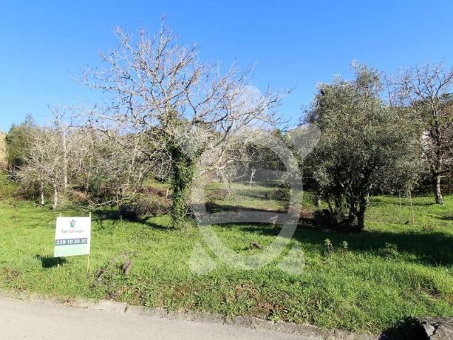 Terreno em Condeixa