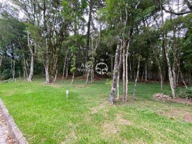 Terreno em Condomínio, 450m², à venda em Canela, centro