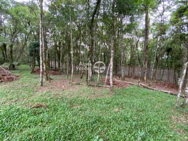Terreno em Condomínio, 550,86m², à venda em Canela, centro