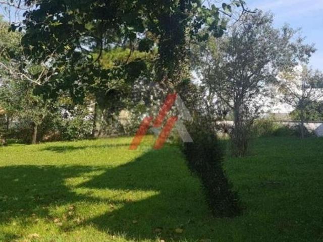 Terreno em Condomínio à Venda em Alphaville, Santana de Parnaíba SP 843m² de Área