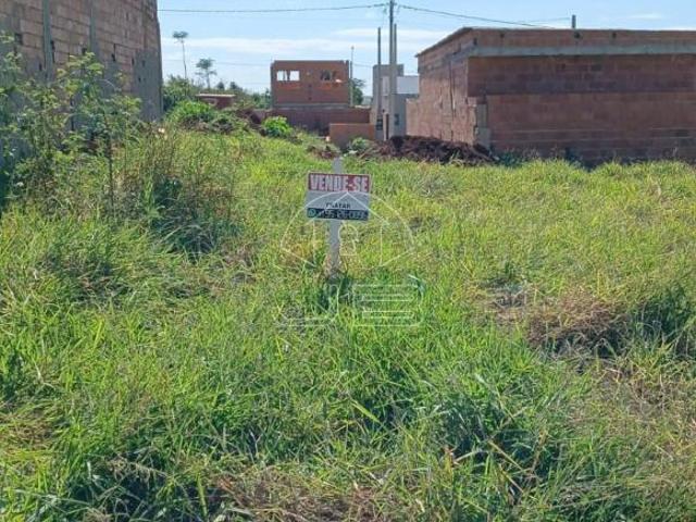 Terreno à Venda em Campinas SP, Bairro Campo Florido 126m²