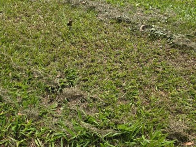 Terreno em Condomínio à Venda em Jardim Cidade Jardim, Indaiatuba SP 360,00m² de Área