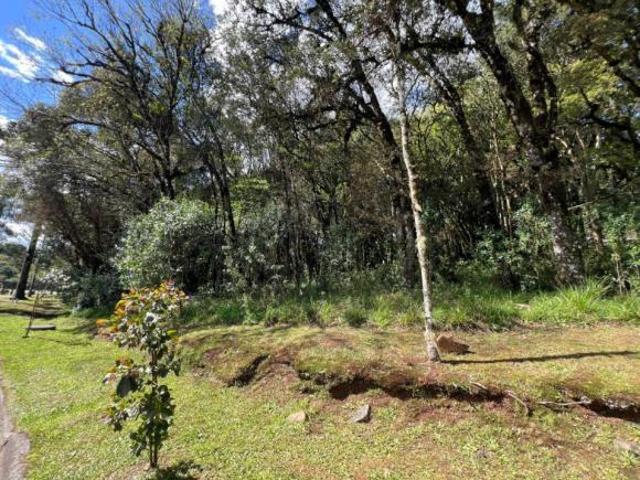 Terreno em Condomínio Bairro Pinheiro Grosso