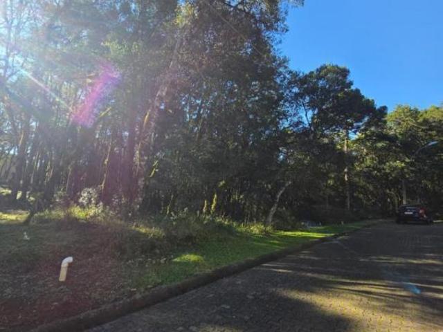 Terreno em Condominio Bairro Pinheiro Grosso 02