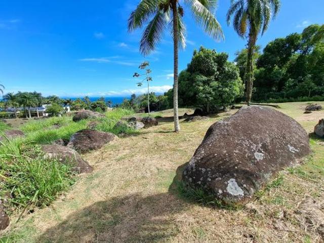 Terreno em Condomínio de costeira em Ilhabela SP