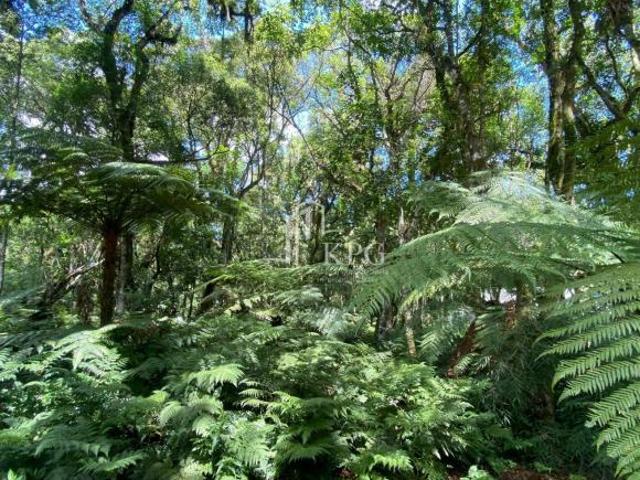 TERRENO EM CONDOMÍNIO FECHADO EM GRAMADO