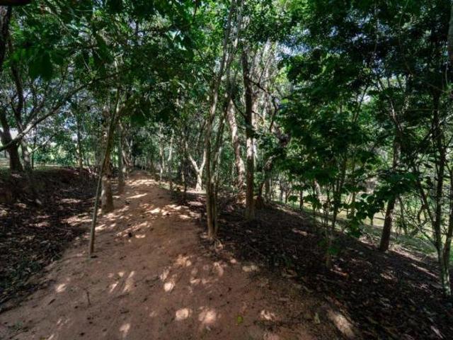 Terreno em Condomínio Fechado em Jundiaí – Reserva da Mata | 150 m² | Valor de Oportunidade