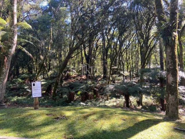 TERRENO EM CONDOMÍNIO O BOSQUE