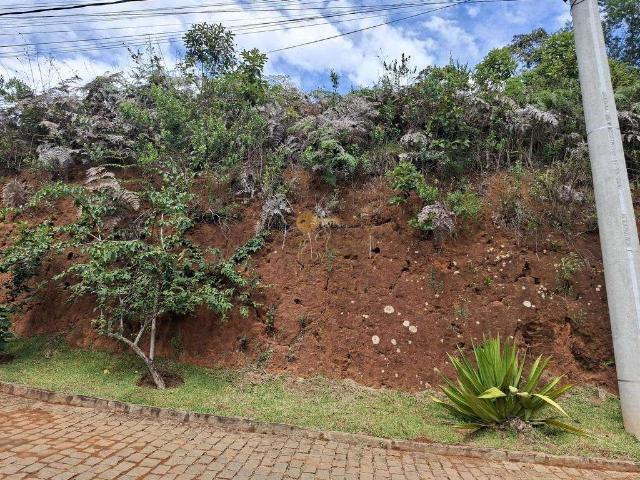 Terreno em Condomínio para Venda em Teresópolis/RJ Albuquerque