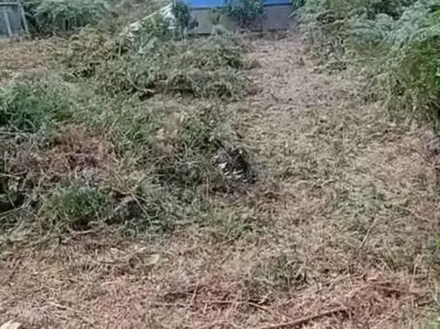 Terreno em Condomínio para Venda em Teresópolis/RJ Albuquerque