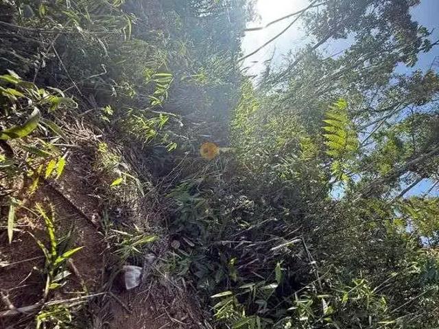 Terreno em Condomínio para Venda em Teresópolis/RJ Albuquerque