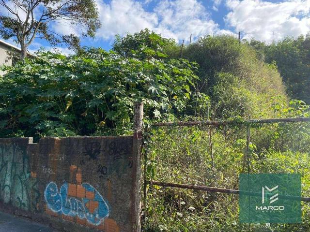 Terreno em Condomínio para Venda em Teresópolis/RJ Alto