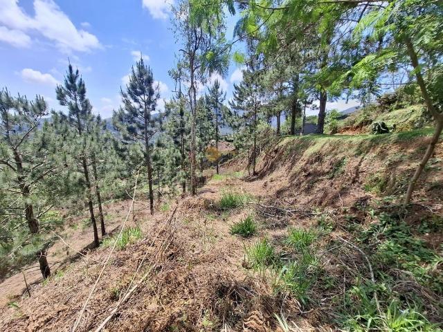 Terreno em Condomínio para Venda em Teresópolis/RJ Green Valleiy