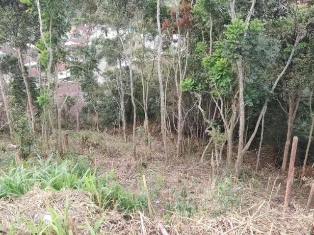 Terreno em Condomínio para Venda em Teresópolis/RJ Panorama