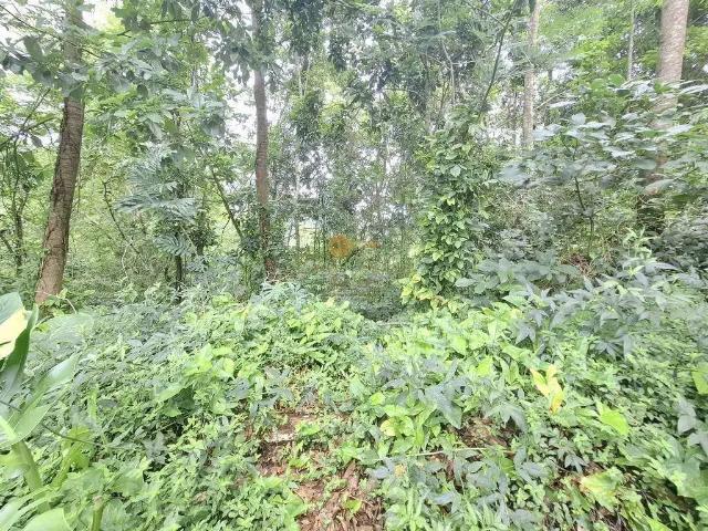 Terreno em Condomínio para Venda em Teresópolis/RJ Parque do Imbui