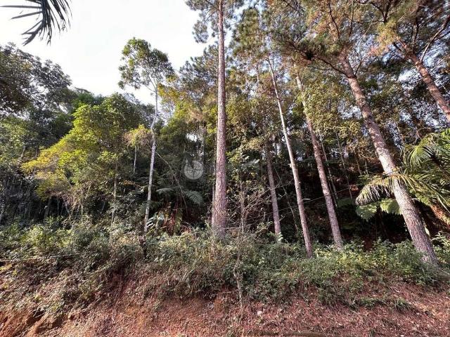 Terreno em Condomínio para Venda em Teresópolis/RJ Parque do Imbui