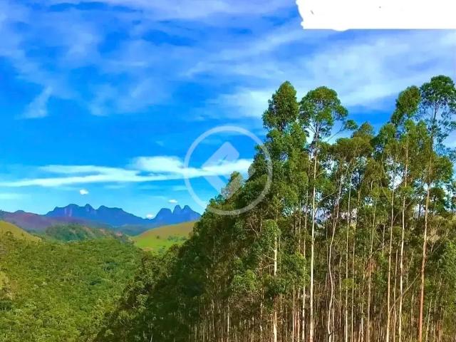 Terreno em Condomínio para Venda em Teresópolis/RJ Pessegueiros
