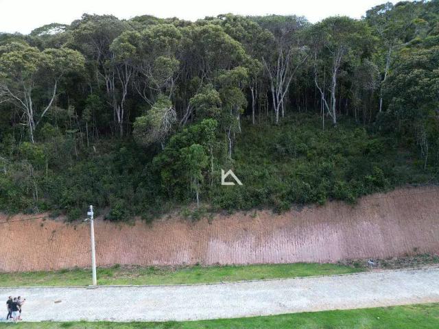 Terreno em Condomínio para Venda em Teresópolis/RJ Prata
